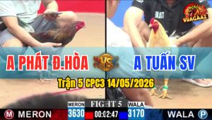Trận 5 CPC3 14/05/2026 - Anh Tuấn Không Cho Anh Phát Cơ Hội Trở Mình