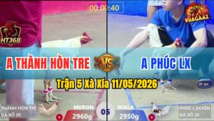 Trận 5 Xà Xía 11/05/2026 - Đỏ Ói Sau Vài Tay Nước Xanh Đá Ốc Cục