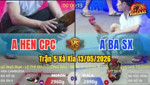 Trận 5 Xà Xía 13/05/2026 - Gà Que Anh Hen CPC Đá Đâm Như Đời Tới