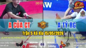 Trận 5 Xà Xía 15/05/2026 - Gà Anh Tý Rạch Giá Đá Toàn Cựa Hiểm