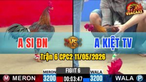 Trận 6 CPC2 11/05/2026 - Đỏ Đâm Cây Nghiệt Xanh Bưng Ra Nhẹ Nhàng