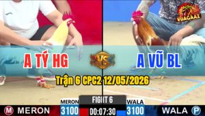 Trận 6 CPC2 12/05/2026 - Gà Úa Anh Tý Canh Nạp 1 Cây Lụm Tiền