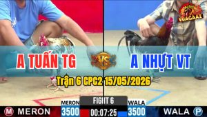 Trận 6 CPC2 15/05/2026 - Anh Nhựt Vũng Tàu Hạ Gọn Anh Tuấn Tiền Giang