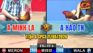 Trận 6 CPC3 11/05/2026 - Hào Tây Ninh Tung Cọp Vào Và Cái Kết