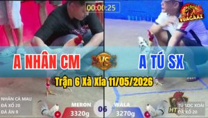 Trận 6 Xà Xía 11/05/2026 - Xanh Ra Đòn Hiểm Đỏ Chết Dưới Chân