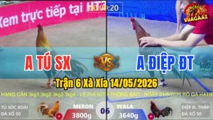 Trận 6 Xà Xía 14/05/2026 - Anh Điệp ĐT Hạ Anh Tú Trong Vất Vả