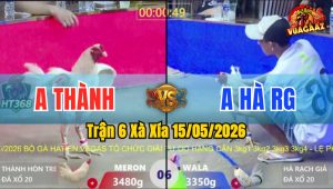 Trận 6 Xà Xía 15/05/2026 - Gà Bướm Anh Hà Rạch Giá Đá Không Đường Phản
