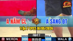Trận 7 CPC2 10/05/2026 - Gà Khét Anh Sang ĐT Phản Đòn Thắng Ngược
