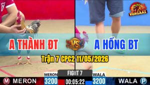 Trận 7 CPC2 11/05/2026 - Cú Bắt Bắt Bướm Thành Công