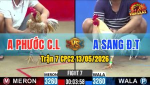 Trận 7 CPC2 13/05/2026 - Gà Anh Sang Gãy Cánh Nhưng Vẫn Phản Kèo
