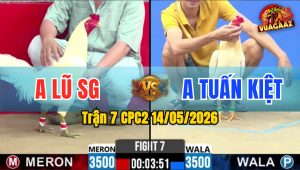 Trận 7 CPC2 14/05/2026 - Gà Anh Tuấn Kiệt Canh Nạp Đúng 1 Cựa Hiểm