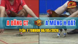 Trận 7 TONHON 06/05/2026 - Anh Đăng CT Không Cho Đối Thủ Cơ Hội Nào