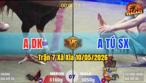 Trận 7 Xà Xía 10/05/2026 - Anh Tú SX Hạ Đối Thủ Lật Xe Tại Chỗ