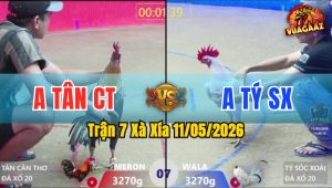 Trận 7 Xà Xía 11/05/2026 - Điều Té Sau Vài Tay Nước Vì Xanh Đá Trúng Điểm