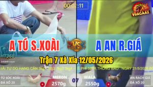 Trận 7 Xà Xía 12/05/2026 - Gà Úa Anh Tú Đá Siết 1 Tăng Gôm Bạc
