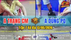 Trận 7 Xà Xía 13/05/2026 - Anh Dũng Phú Quốc Khiến Đối Thủ Bỏ Chạy