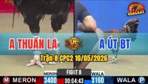 Trận 8 CPC2 10/05/2026 - Gà Anh Út Có Chân Cựa Xạo Lờ