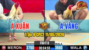Trận 8 CPC2 11/05/2026 - Bướm Khôn Như Ngươi Đâm Khét Xỉu Tuyệt Đối