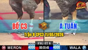 Trận 8 CPC3 11/05/2026 - Đỏ Trả Đòn Hiểm Đút Tiền Vào Túi Nhanh
