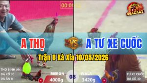 Trận 8 Xà Xía 10/05/2026 - Anh Tư Xe Cuốc Hạ Anh Thọ Nhanh Gọn