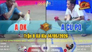 Trận 8 Xà Xía 14/05/2026 - Gà Bướm Đá Không Cho Điều Cơ Hội Nào