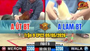Trận 9 CPC2 09/05/2026 - Anh Út Bến Tre Đá Ít Cựa Nhưng Hiệu Quả