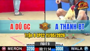 Trận 9 CPC2 11/05/2026 - Đỏ Chưa Thả Đá Ăn 6 Buông Đuôi Xanh Đá 3 Chân Té