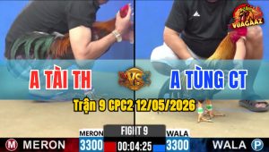 Trận 9 CPC2 12/05/2026 - Gà Anh Tùng Gồng Gánh Tới Phút Cuối