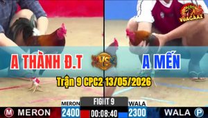 Trận 9 CPC2 13/05/2026 - Gà Anh Mến Có Đòn Cựa Chí Mạng