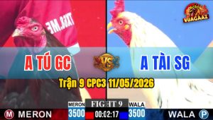 Trận 9 CPC3 11/05/2026 - Gà Xanh Đá Óc Cục Nổi Đưa Đỏ Ra Đảo
