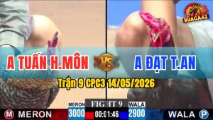Trận 9 CPC3 14/05/2026 - Anh Tuấn Hóc Môn Làm Thịt Anh Đạt Tân An