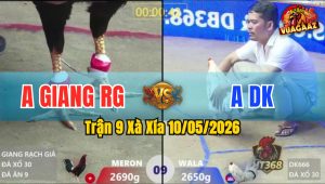 Trận 9 Xà Xía 10/05/2026 - Phut 90 Điều Đâm Bướm Hư Hình Bỏ Miệng Buông Chạy