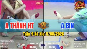 Trận 9 Xà Xía 11/05/2026 - Bướm Đâm Đầu Cần Hạ Úa Đơn Giản
