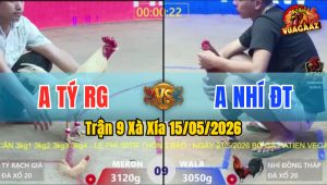 Trận 9 Xà Xía 15/05/2026 - Gà Anh Tý Rạch Giá Có Chân Cựa Cúp Điện