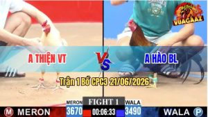Trận 1 CPC3 21/06/2026 – Gà Điều Hiệu Idol Đá Phản 1 Chân Quá Hay