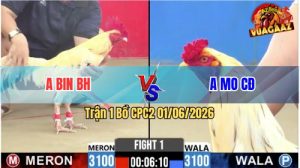 Trận 1 CPC2 01/06/2026 - Gà Anh Bin Đá Canh Chặn Khôn Như Người