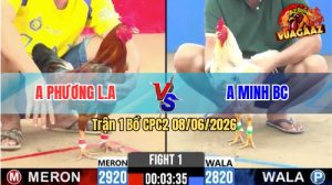 Trận 1 CPC2 08/06/2026 - Gà Bướm Anh Minh Đá Đúng 3 Chân Lụm Tiền