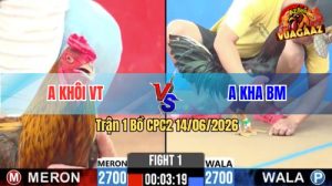 Trận 1 CPC2 14/06/2026 - Gà Anh Khôi VT Đá Đòn Cựa Quá Khủng