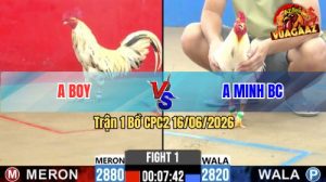 Trận 1 CPC2 16/06/2026 – Gà Xám Anh Boy Mở Bát Quá Mát Tay