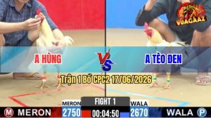 Trận 1 CPC2 17/06/2026 – Anh Hùng Gặp Anh Tèo Đen Ở Trận Mở Màn