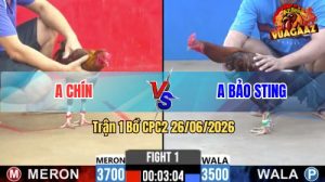 Trận 1 CPC2 26/06/2026 – Anh Chín Lụm Anh Bảo Sting Ở Trận Mở Màn