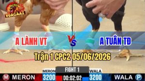 Trận 1 CPC2 Ngày 05/06/2026 Tại Vua Gà AZ