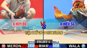 Trận 1 CPC3 01/06/2026 - Gà Điều Anh Huy Phản Tang Quá Hay