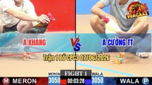 Trận 1 CPC3 07/06/2026 - Gà Điều Anh Khang Đá Mấy Chân Lụm Tiền
