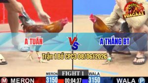 Trận 1 CPC3 08/06/2026 - Anh Tuấn Mở Bát Quá Mát Tay