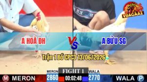 Trận 1 CPC3 13/06/2026 - Gà Anh Hoà Đức Hoà Đá Khôn Như Người