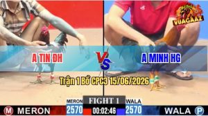 Trận 1 CPC3 15/06/2026 – Anh Tin Đức Hoà Mở Bát Thuận Lợi
