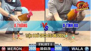 Trận 1 CPC3 23/06/2026 – Gà Anh Tính BD Đá Nạp Siết Tốc Độ