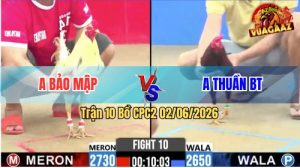 Trận 10 CPC2 02/06/2026 - Gà Anh Bảo Bị Dí Bạc Nhưng Vẫn Lụm