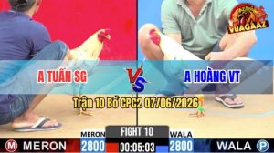 Trận 10 CPC2 07/06/2026 - Gà Anh Hoàng Đá 1 Cây Ngay Mu Lưng